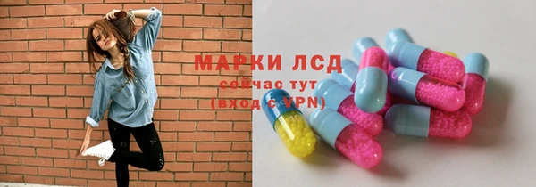 гидра Аркадак