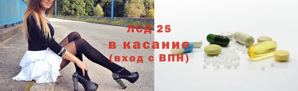 гидра Аркадак