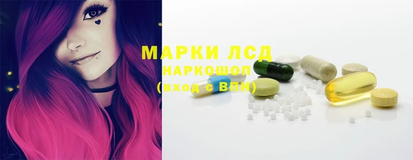 гидра Аркадак