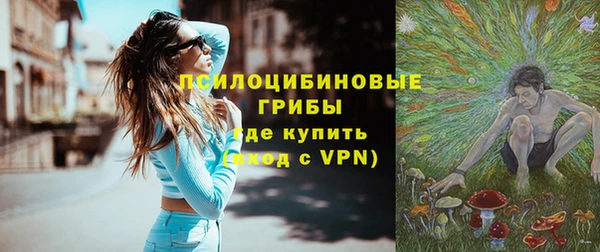 гидра Аркадак