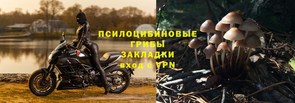 Альфа ПВП Арсеньев